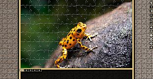 Pixel Puzzles Traditional Jigsaws Pack: Frogs