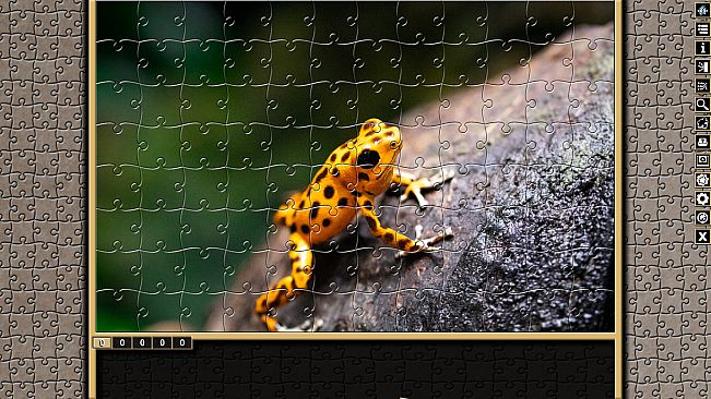 Pixel Puzzles Traditional Jigsaws Pack: Frogs