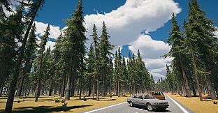 Country Drive Simulator