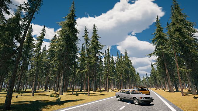 Country Drive Simulator
