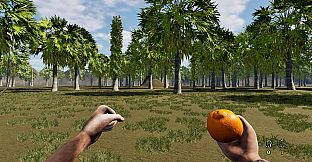 Pau e Pedra - Orange