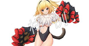 祛魅·入灭（祛魅2） - 主角画集和攻略地图集