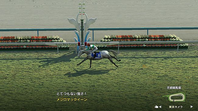 WP9 2020 レジェンドホース購入権フルセット 全4頭