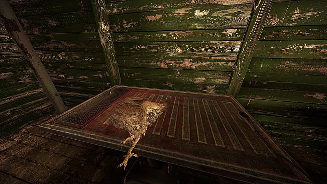 Wild Delivery: Old Cooking Style