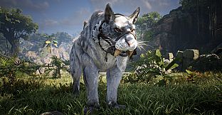 Bless Unleashed - Frontier Pack