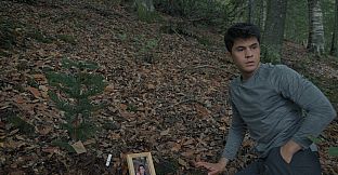 Wordless Forest