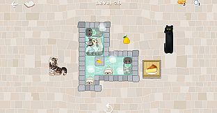 CATS BLOCKS: HOT SPRINGS
