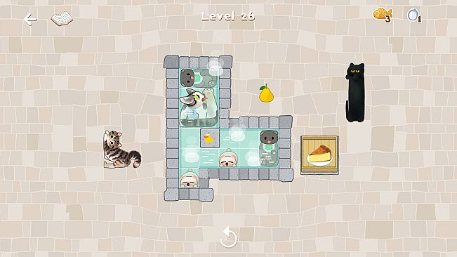 CATS BLOCKS: HOT SPRINGS