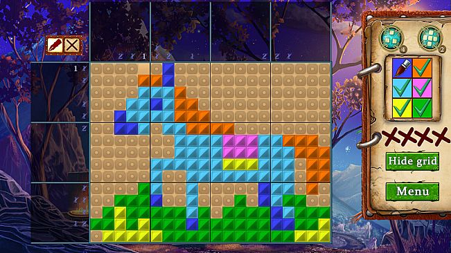 Hidden Riddles. The Amazon Mystery