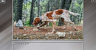 Super Jigsaw Puzzle: Generations - Dogs 3
