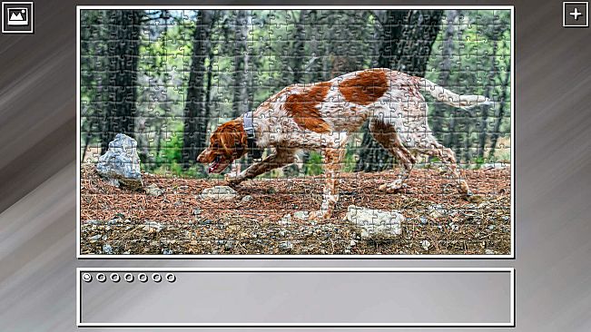 Super Jigsaw Puzzle: Generations - Dogs 3