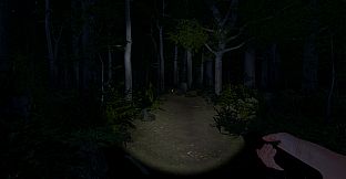 The Greys: Human Abductions