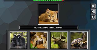 Repeat the image: Animals