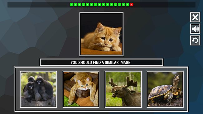 Repeat the image: Animals