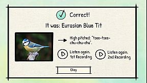 BirdLingo: A birdsong learning game