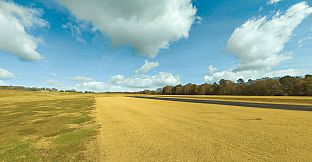 RealFlight Evolution - Triple Tree Electric Flightline