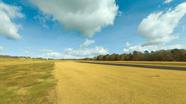 RealFlight Evolution - Triple Tree Electric Flightline