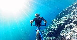 Swimming with Humpbacks