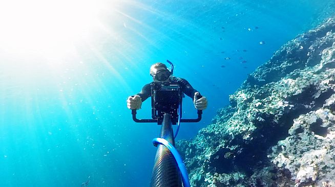 Swimming with Humpbacks