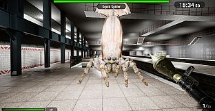 Spider Subway