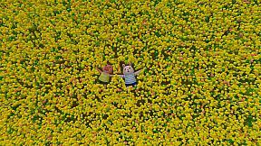 The Adventures of Bunny and Pig