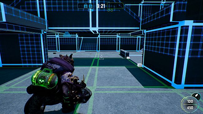 Bunny Madness Anarchy