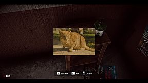 The Stairway 7 - Anomaly Hunt Loop Horror Game