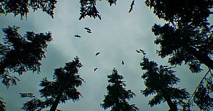 Rain of Hunger
