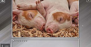 Super Jigsaw Puzzle: Generations - Random Animals Puzzles