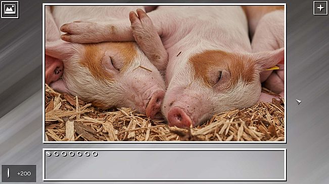 Super Jigsaw Puzzle: Generations - Random Animals Puzzles