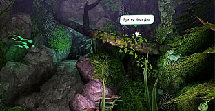 Food for Fairies