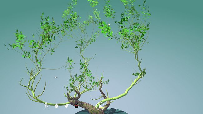 Tree Bonsai
