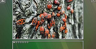 Super Jigsaw Puzzle: Generations - Bugs Puzzles