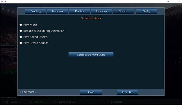 Pro Strategy Football 2022