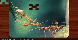 Jigsaw Puzzle World - Insects