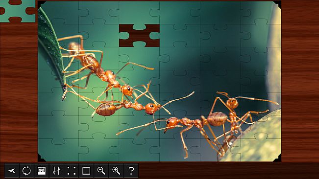 Jigsaw Puzzle World - Insects
