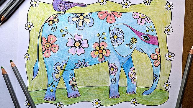 Plant Therapy Coloring Book