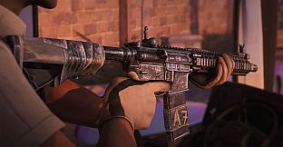 Insurgency: Sandstorm - Accolade Set Bundle