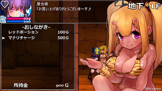 The Den of Chaos2 - 混沌の魔窟殿２～アッサマラームの遺跡編～