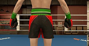 The Thrill Of The Fight 2 - Victory Gear Shorts