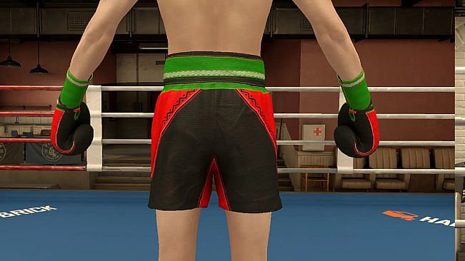 The Thrill Of The Fight 2 - Victory Gear Shorts