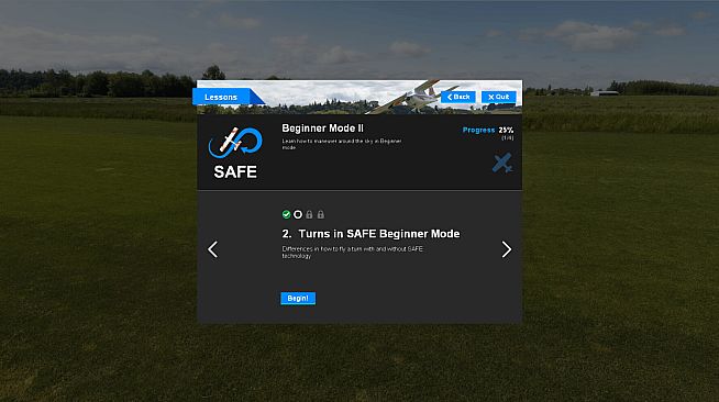 RealFlight Evolution