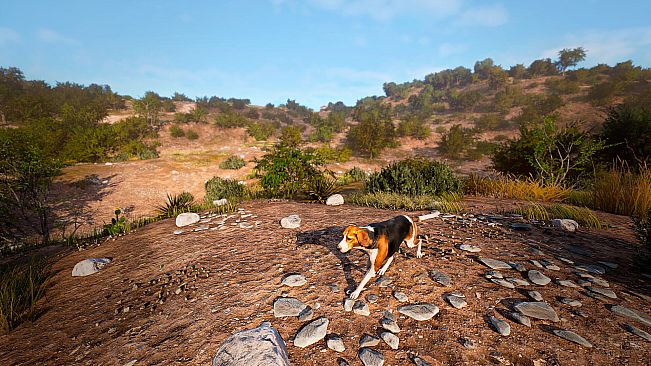 Hunting Simulator 3 - Classic American Hunter Pack