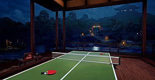 VR Ping Pong Pro