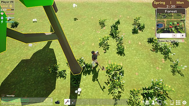 Shards of the library