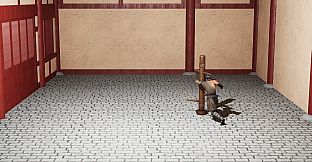 Path of the Zenith Master