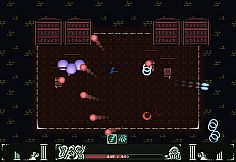 Mirror Angel's Paradise