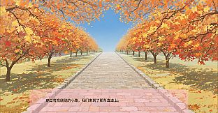 Serene Night Dreamlight