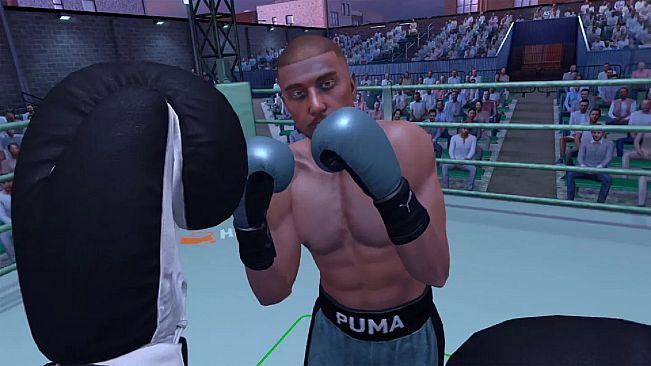 The Thrill Of The Fight 2 - Puma Original Black Gloves