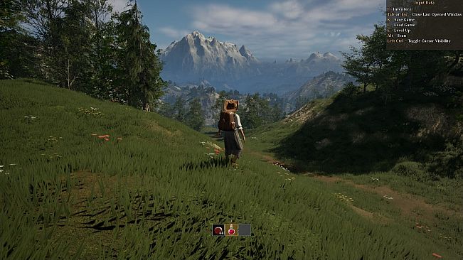 The Wandering Trader